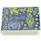 Cikoria