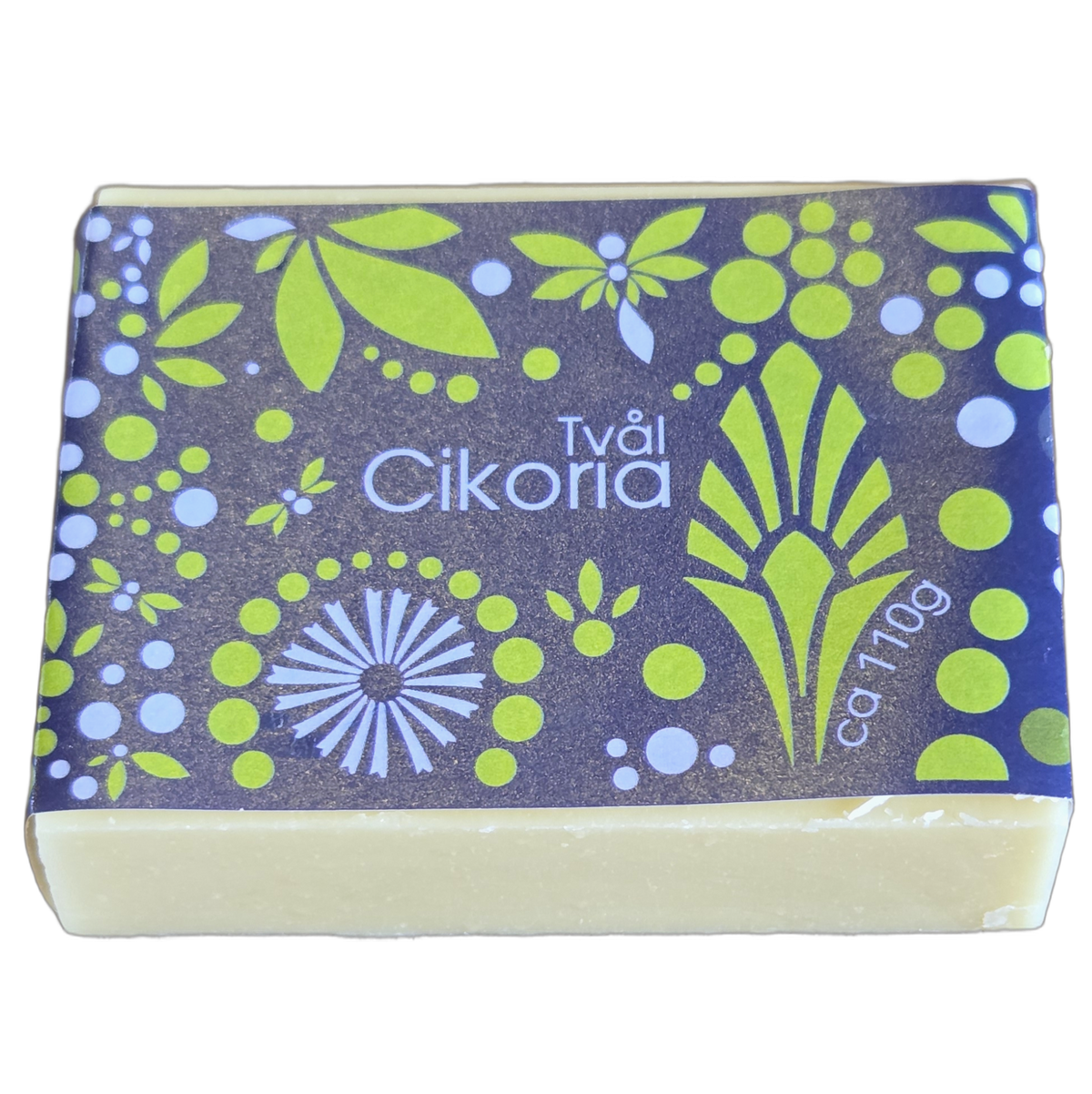 Cikoria