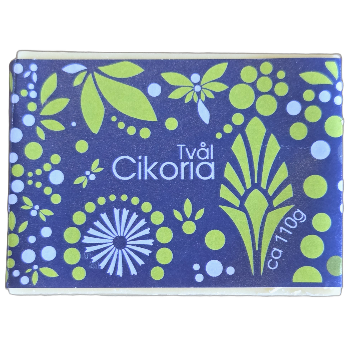 Cikoria